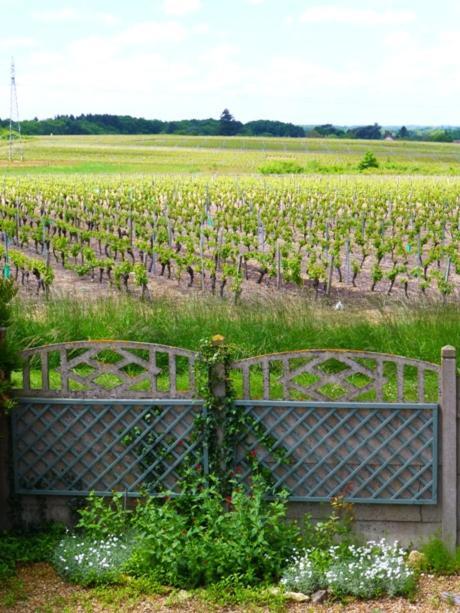 Domaine De La Chapelle - Ch D'Hote Faverolles-sur-Cher Exterior photo